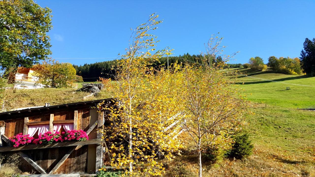 Pension Verdinserhoehe Scena Exterior foto